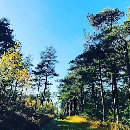 Cozy House With - By Traum *