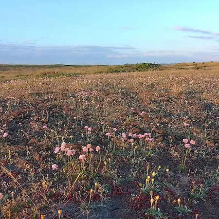 Cozy House With - By Traum Feriehus Torup Strand