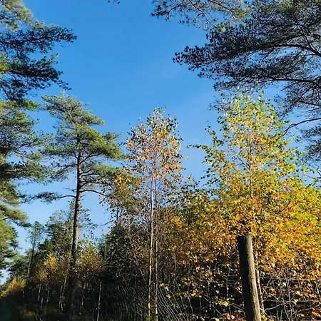 Feriehus Cozy House With - By Traum *