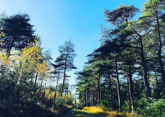 Cozy House With - By Traum Hébergement de vacances *